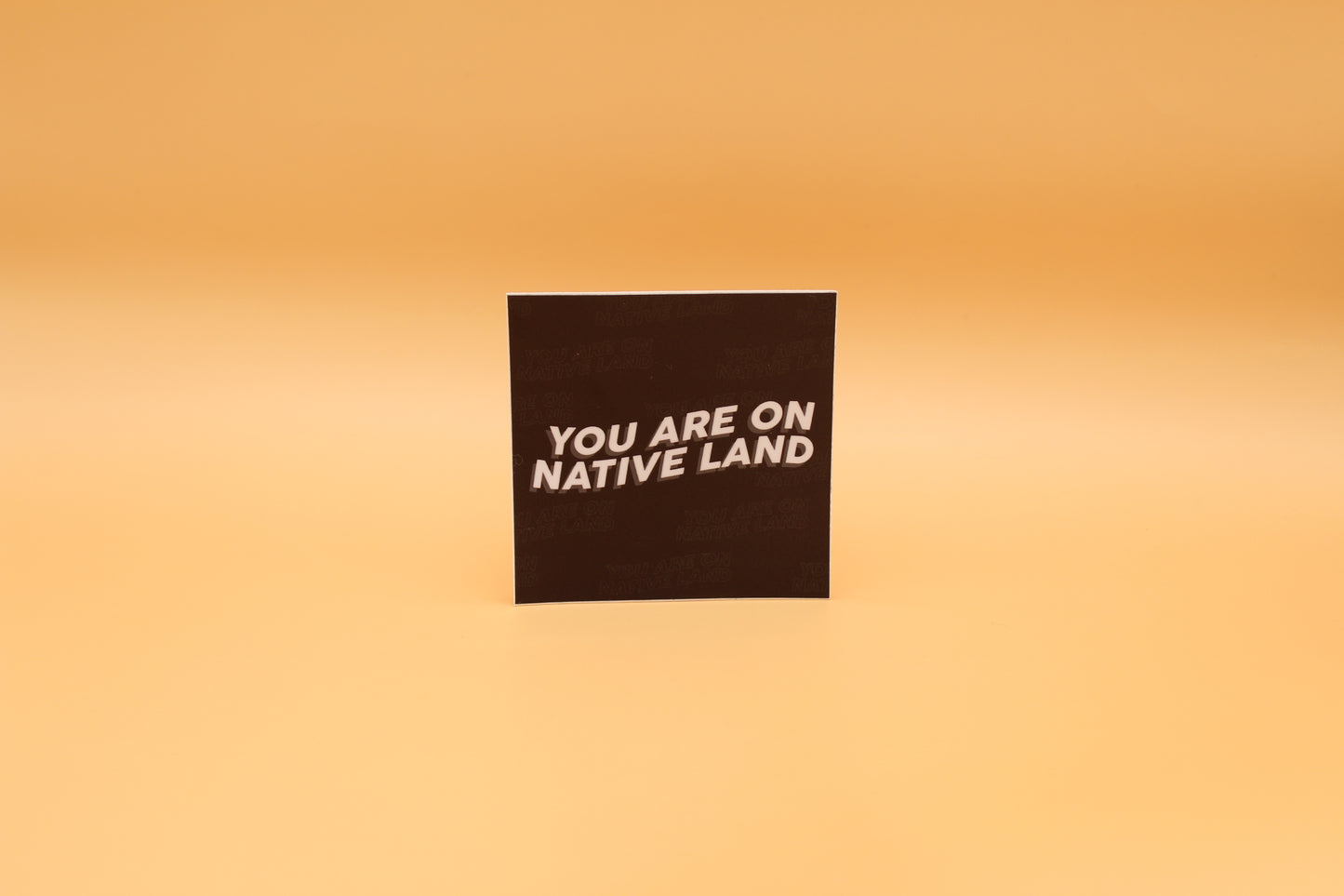 'YOU ARE ON NATIVE LAND' Sticker