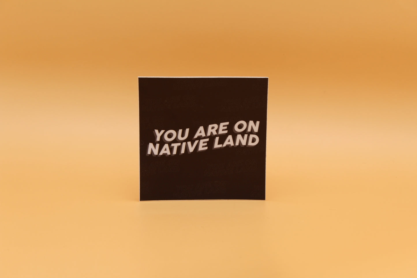 'YOU ARE ON NATIVE LAND' Sticker